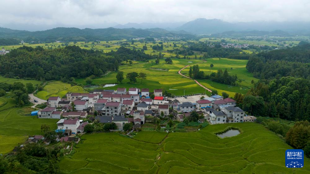 图为8月20日在兴隆镇三山村拍摄的“云上梯田”（无人机照片）。