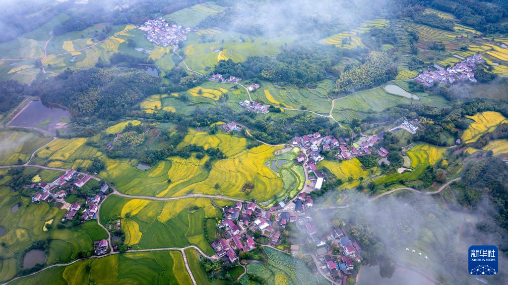 图为8月19日在兴隆镇三山村拍摄的“云上梯田”（无人机照片）。