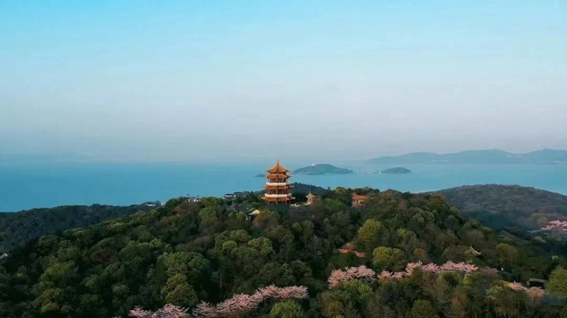 图源:无锡统计 图源:无锡统计