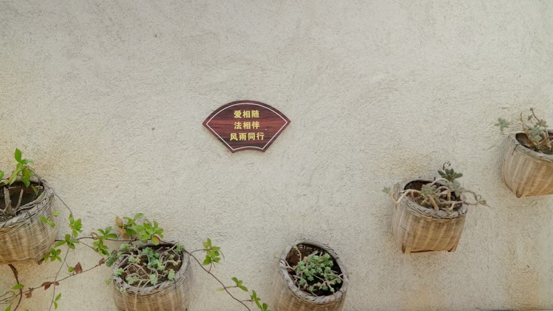 复制图片