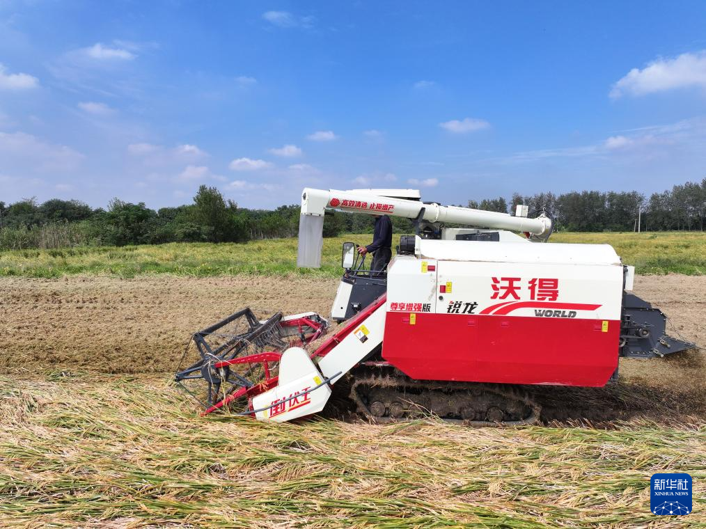 9月25日，在江苏省扬州市邗江区公道镇，收割机在稻田中收割水稻（无人机照片）。