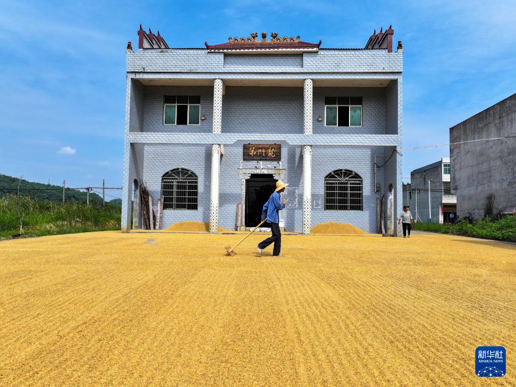 9月24日，湖南省常宁市西岭镇西冲村村民在晾晒稻谷（无人机照片）。