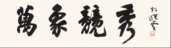 孙晓云 《万象竞秀》