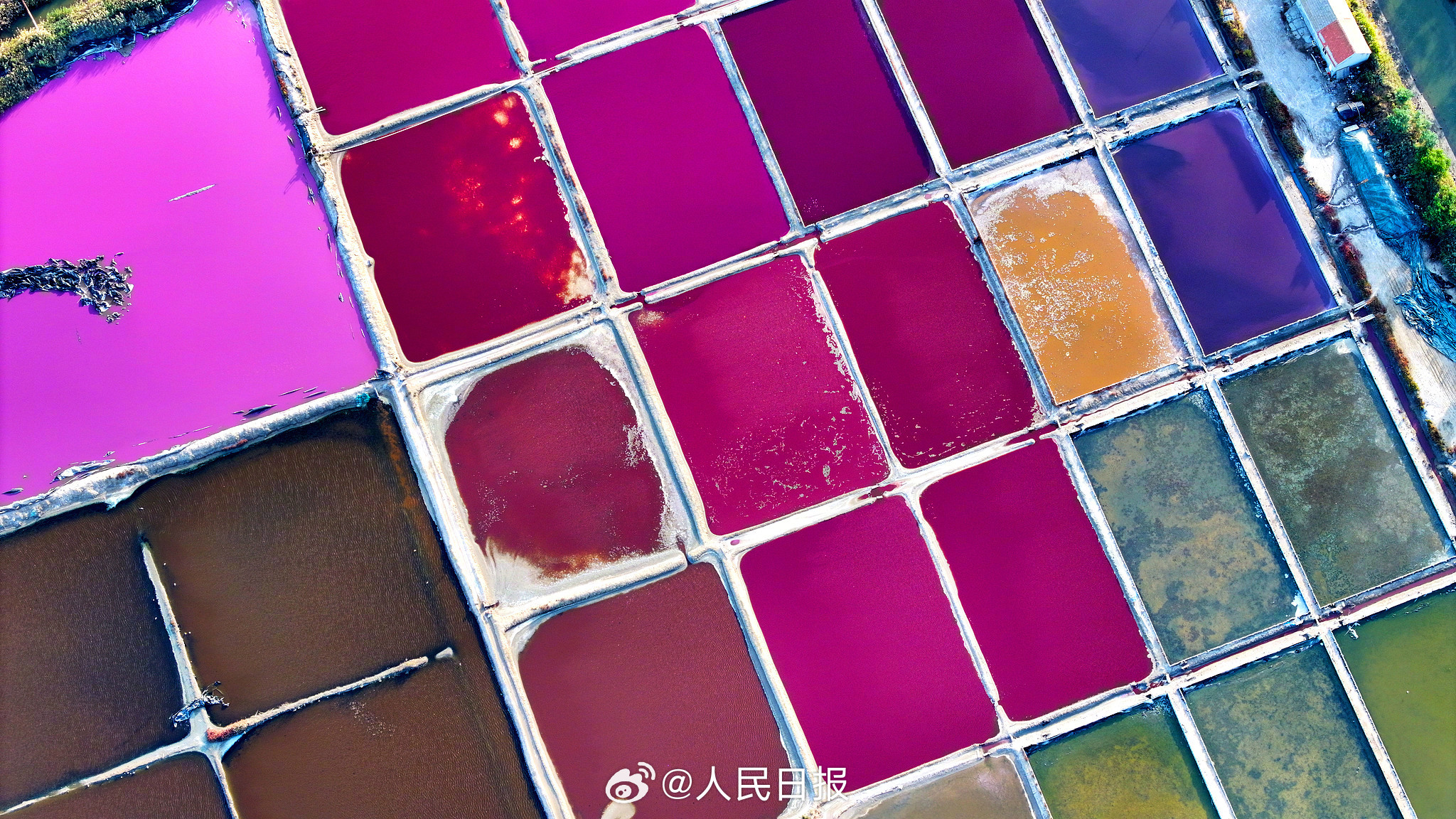 近日，山东荣成，港西镇朝阳港一处盐田，呈现出高饱和度色彩，像是被大自然打翻的调色盘，又如同神秘的大地呈现的一片艺术画布，形成了一道靓丽的风景线。