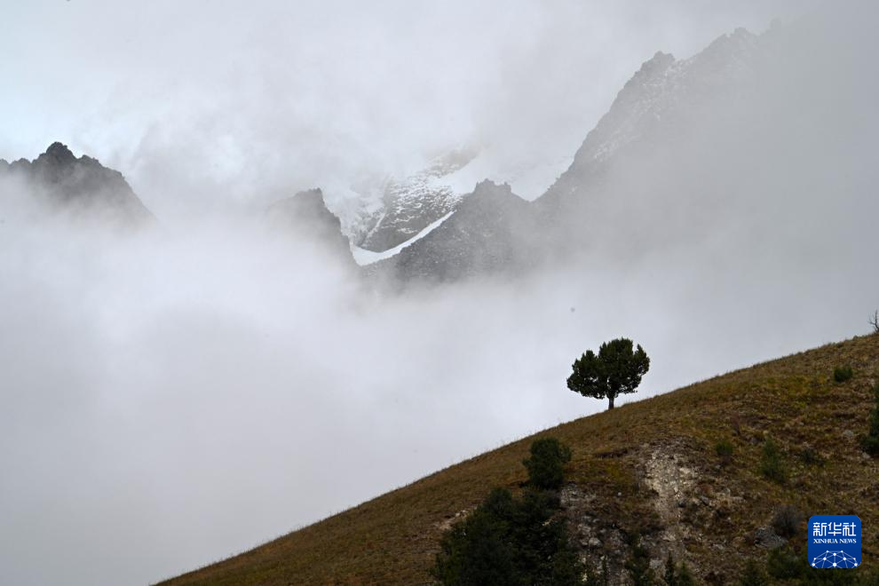 10月15日拍摄的四川省甘孜藏族自治州风光（无人机照片）。新华社发（杨楹摄）