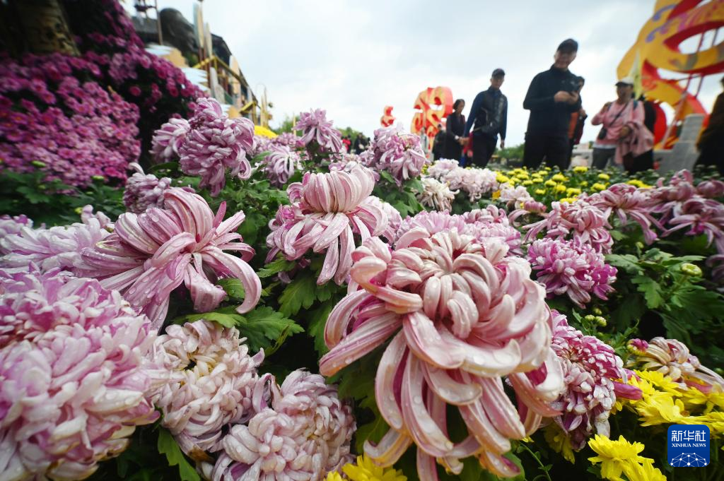 金秋十月，天高云淡，大地五彩斑斓，景色宛如画卷。新华社发（李俊生摄）