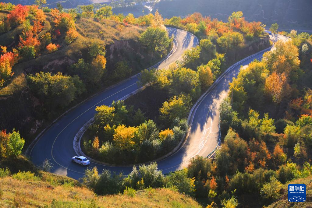 10月17日在甘肃省定西市安定区巉口镇拍摄的秋景。新华社发（王克贤摄）