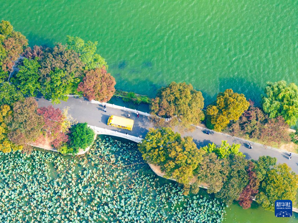 10月25日，人们在南京玄武湖公园长堤上赏秋游玩（无人机照片）。新华社发（杨素平摄）