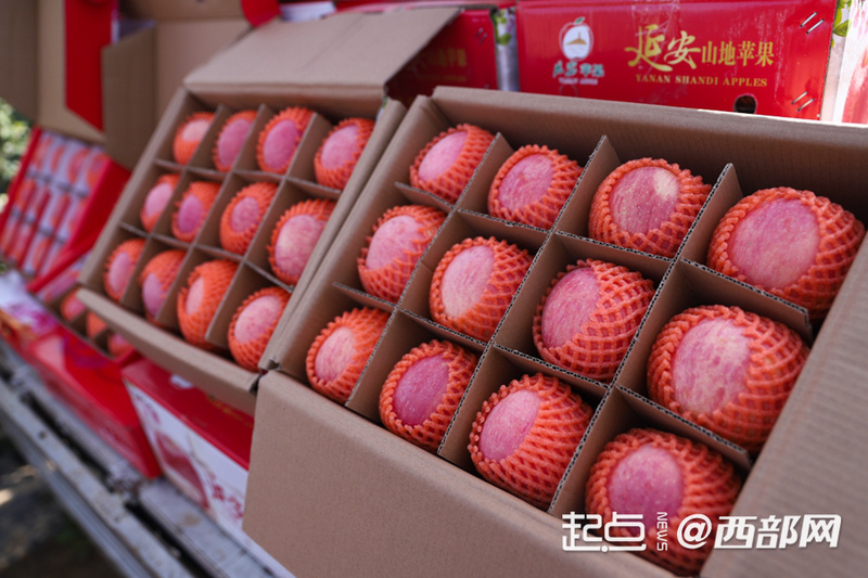 正在上传... 58e910fe1572af043978376a904065ca.png