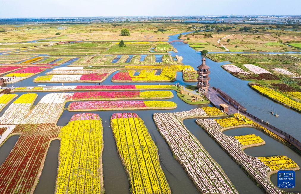   金秋时节，华夏大地层林尽染，诗意斑斓。图为10月25日，游客在江苏省兴化市千垛景区赏菊游玩（无人机照片）。 新华社发（周社根摄）

  

 