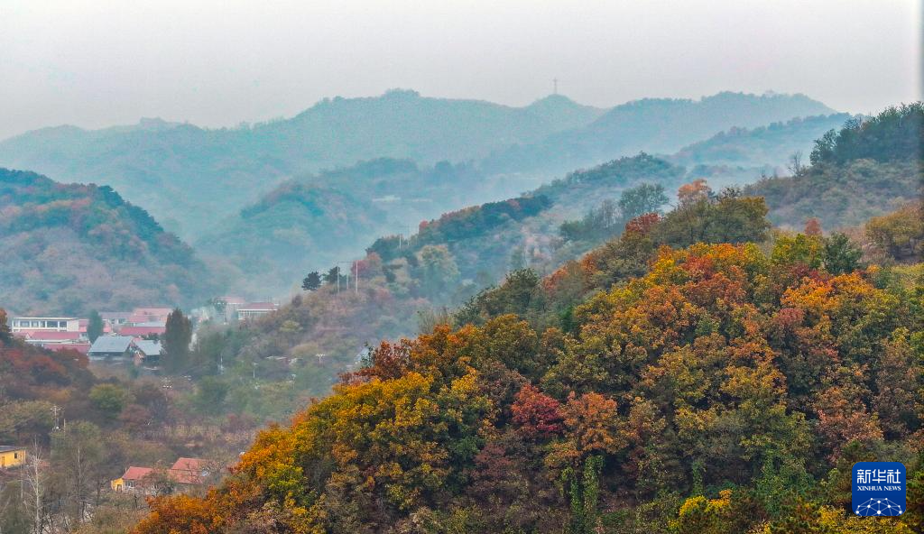 10月26日拍摄的河北省遵化山村秋景（无人机照片）。新华社发（刘满仓摄）
