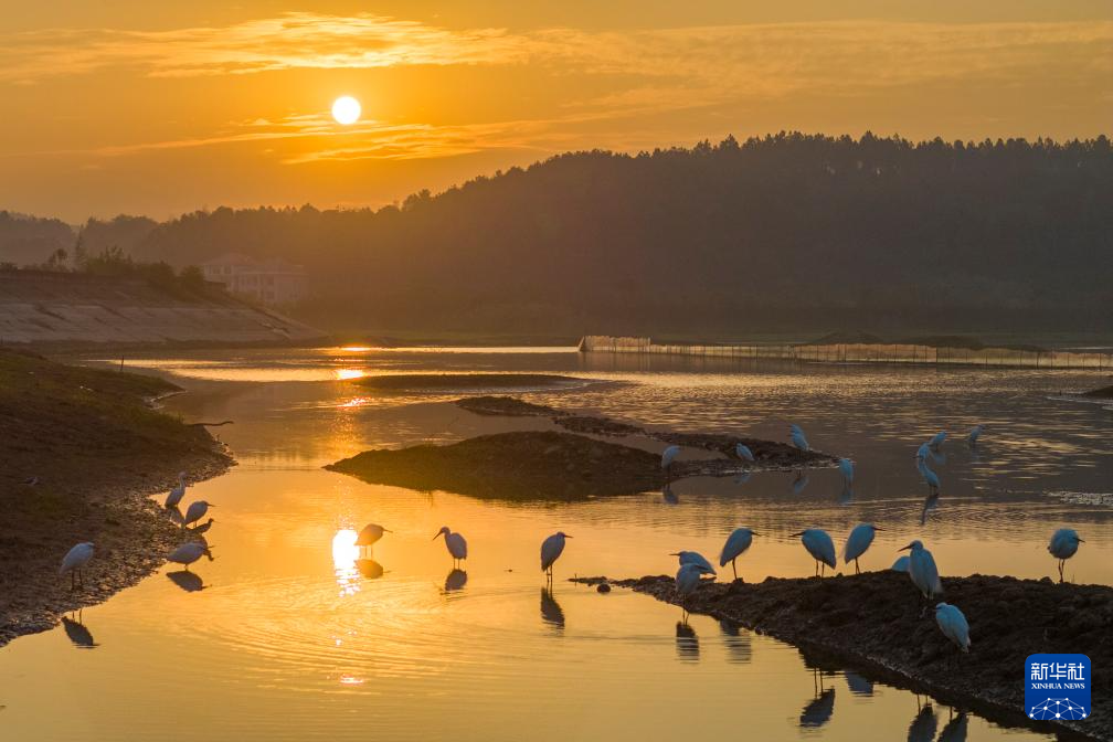 10月26日拍摄的湖南省娄底华胜湿地公园（无人机照片）。新华社发（吴永华摄）
