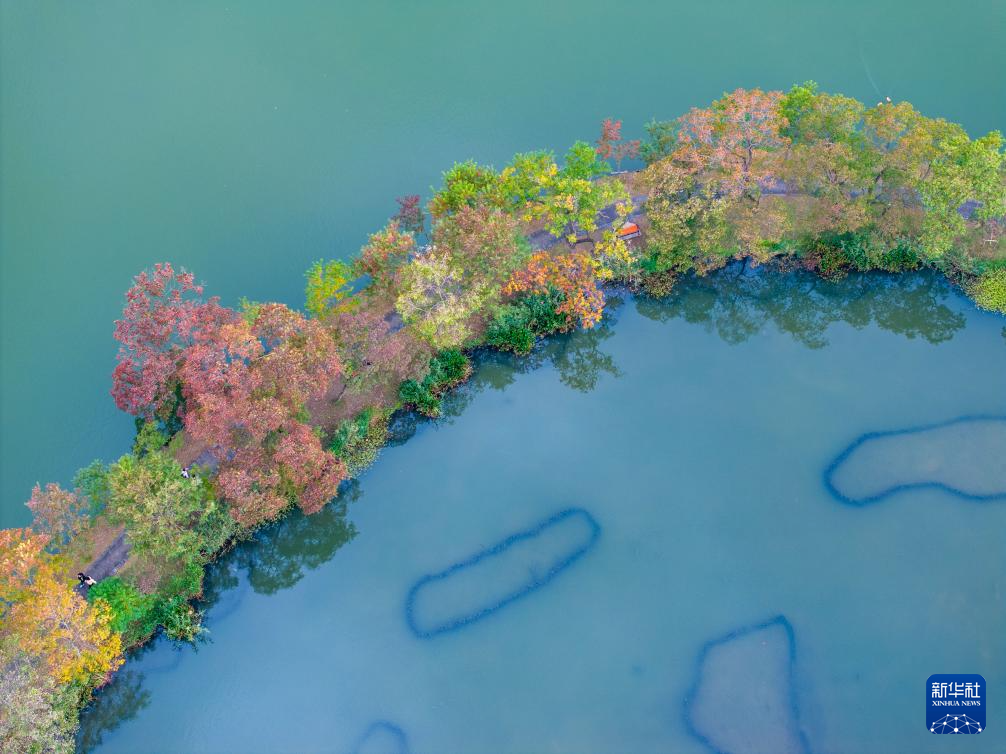10月26日，游客在南京紫金山前湖月牙堤上赏景游玩（无人机照片）。新华社发（杨素平摄）