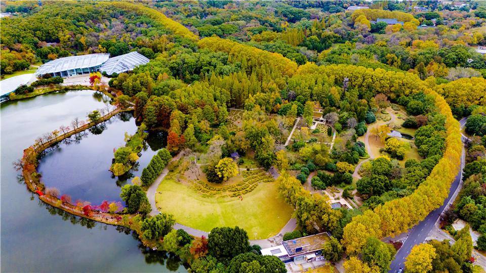 2024年11月18日，随着气温下降，南京钟山风景区泼洒出新一轮的色调。
