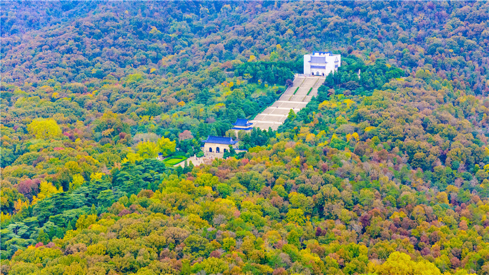 尤其建筑的轮廓更加清晰，在树木的映衬下更显厚重。