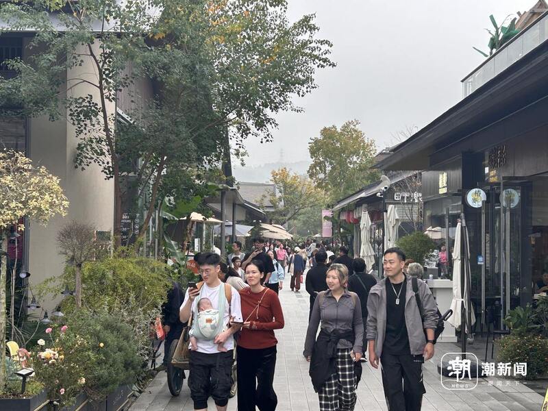 微信图片_20241119201102.jpg