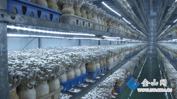 微信图片_20250121095730