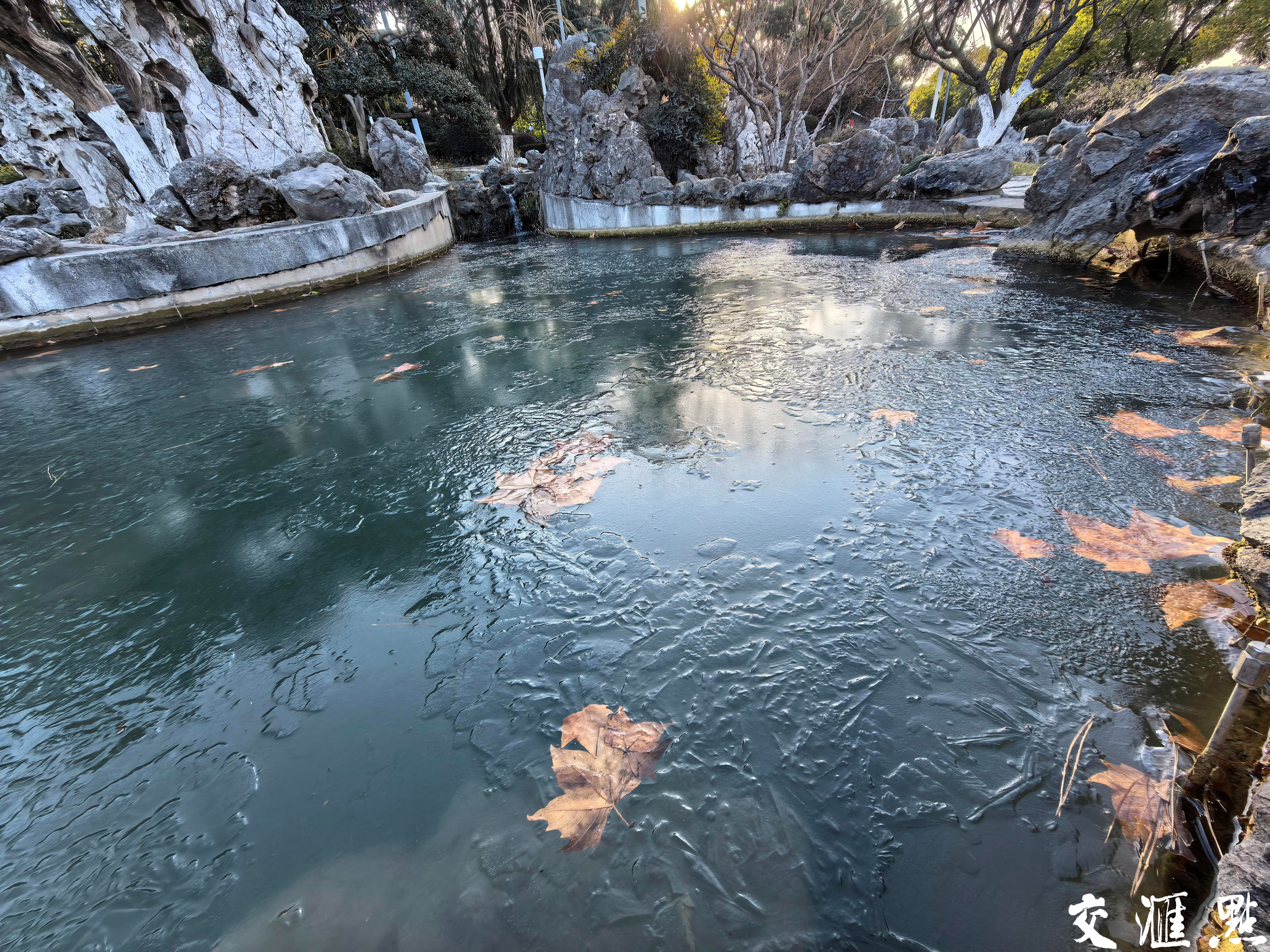 蛇年首个寒潮发威，南京玄武湖部分湖面“冰封”。