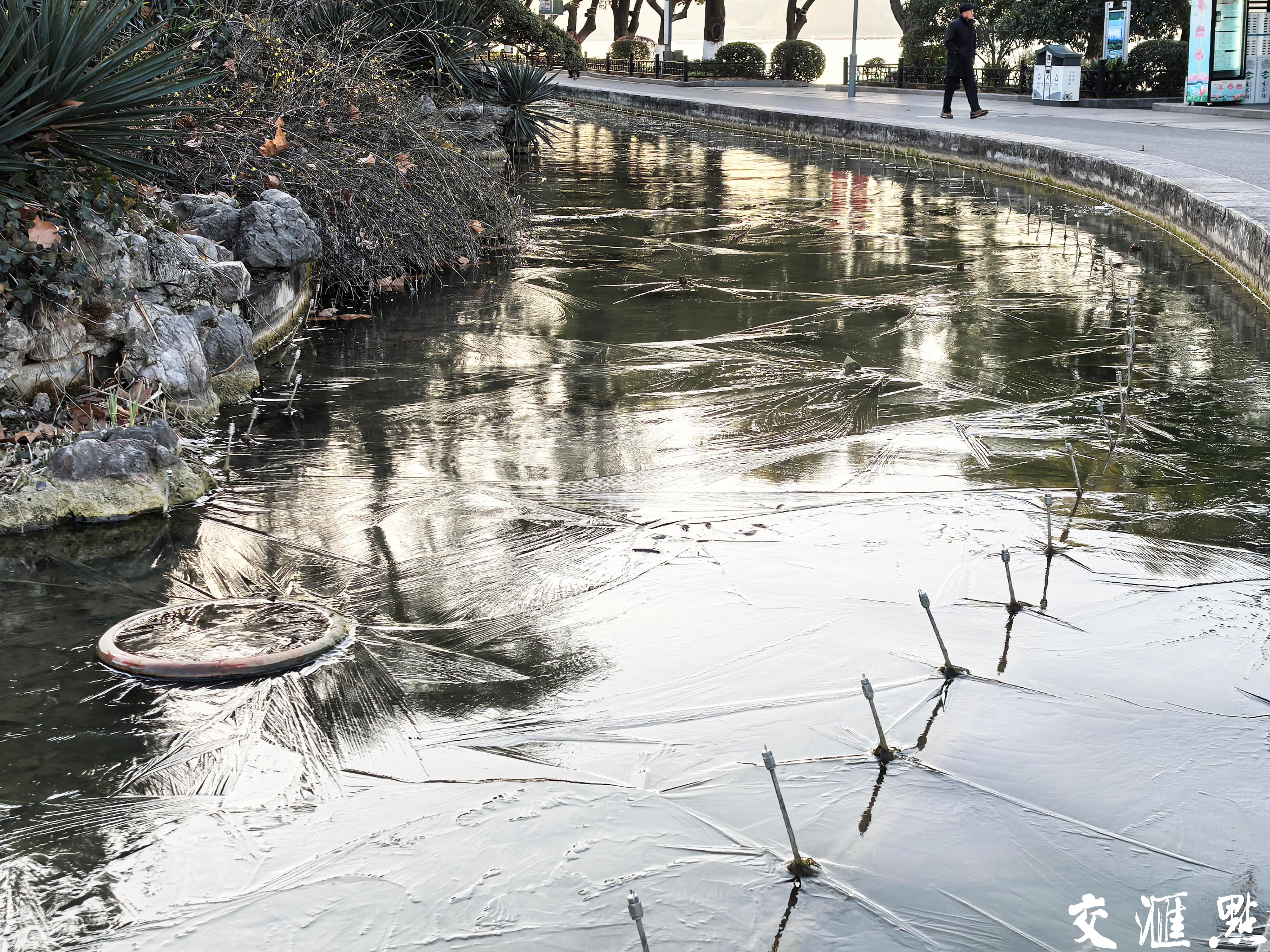 蛇年首个寒潮发威，南京玄武湖部分湖面“冰封”。