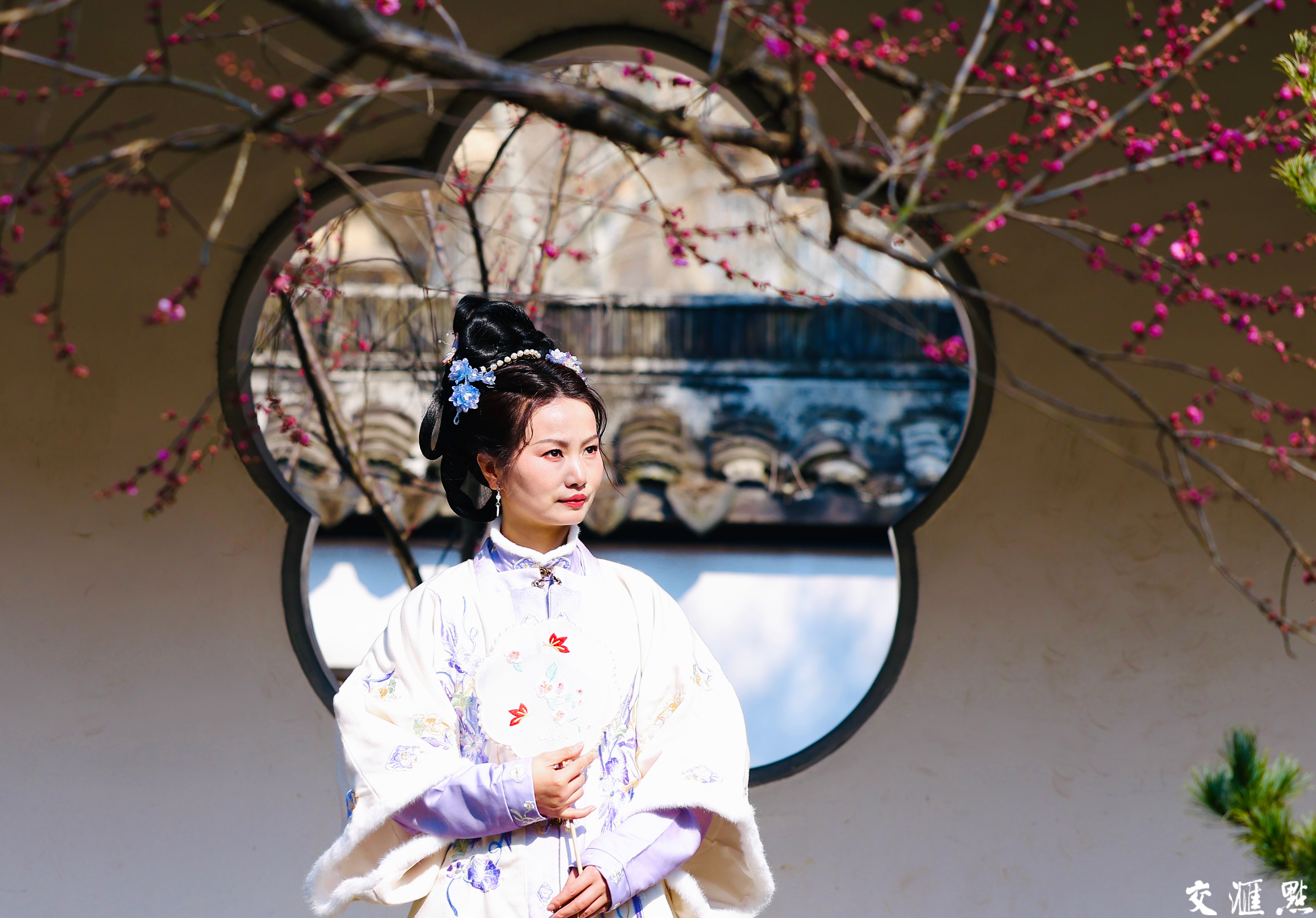 2月13日，南京雨花台梅岗梅花竞相盛放。走进梅岗，红梅热烈似火，粉梅娇嫩柔美……与江南园林的景致相得益彰。古朴的亭台楼阁，蜿蜒的回廊水榭，在梅花的映衬下，更显江南水乡的温婉秀丽。
游客们漫步其中，或拍照留念，或细细品味梅花的芬芳，感受着独特的美景带来的惬意与宁静。
新华日报·交汇点记者 赵亚玲摄