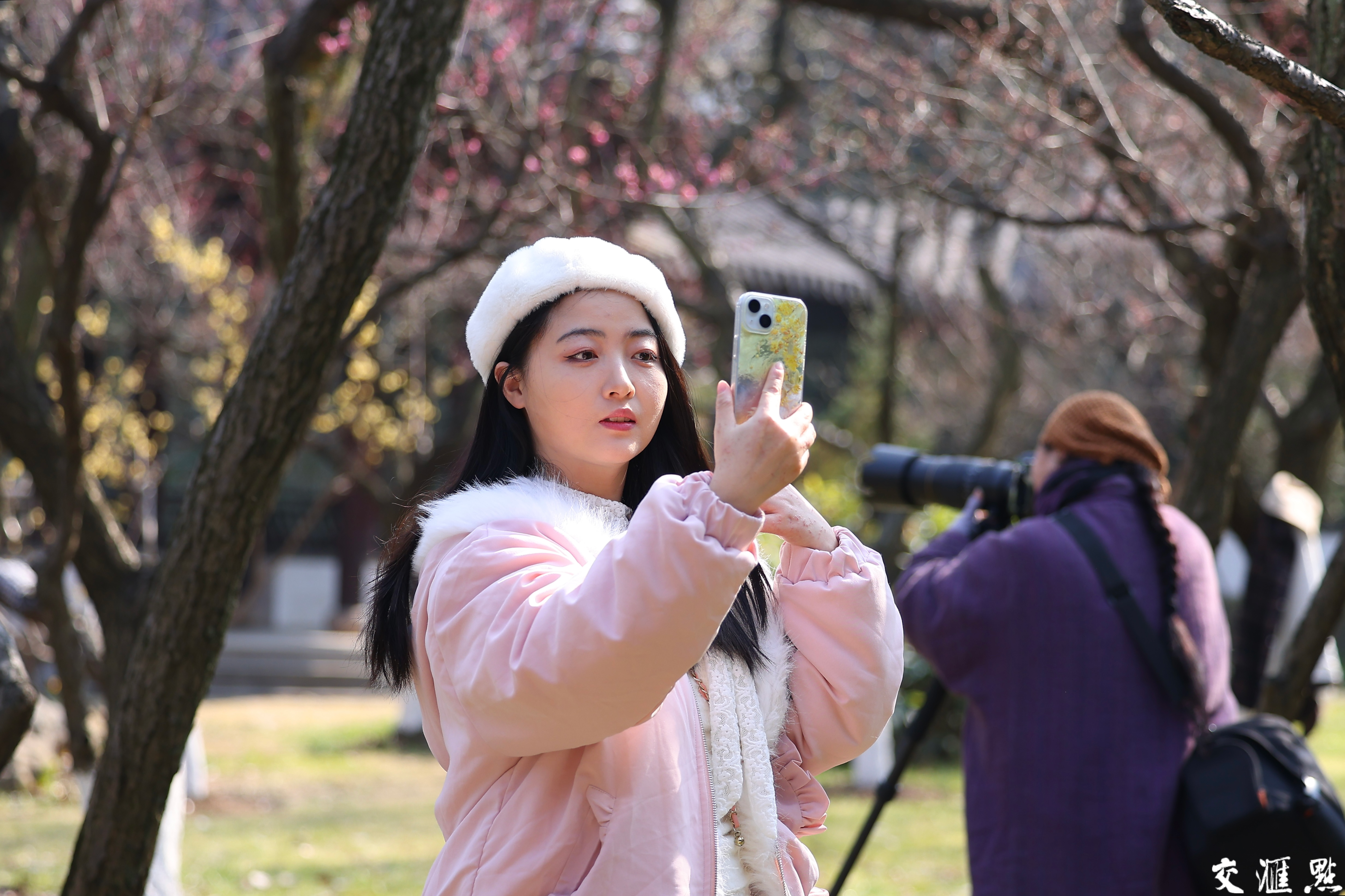 2月13日，南京雨花台梅岗梅花竞相盛放。走进梅岗，红梅热烈似火，粉梅娇嫩柔美……与江南园林的景致相得益彰。古朴的亭台楼阁，蜿蜒的回廊水榭，在梅花的映衬下，更显江南水乡的温婉秀丽。
游客们漫步其中，或拍照留念，或细细品味梅花的芬芳，感受着独特的美景带来的惬意与宁静。
新华日报·交汇点记者 赵亚玲摄