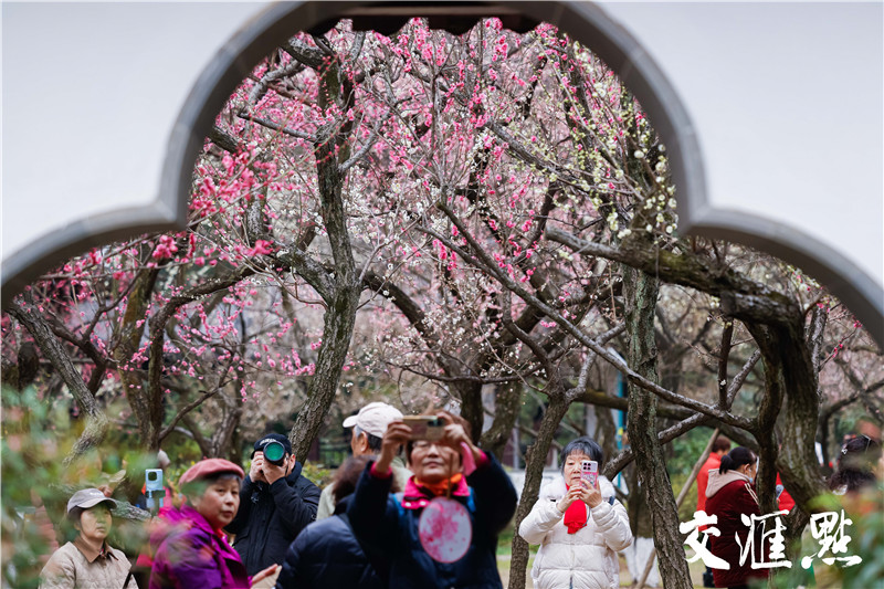 2月25日，南京雨花台梅岗进入梅花盛花期。暗香浮动的梅林与青瓦飞檐的古建相映成趣，营造出"移步换景"的古典园林韵味。众多游客穿梭于花影廊亭间，捕捉这春日里的绝美风光。新华日报·交汇点记者 蒋文超 摄