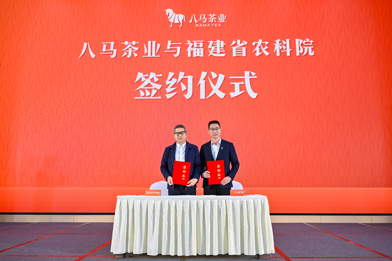 △八马茶业与福建省农科院进行重大科技项目新品种新技术合作签约(“说茶”摄)