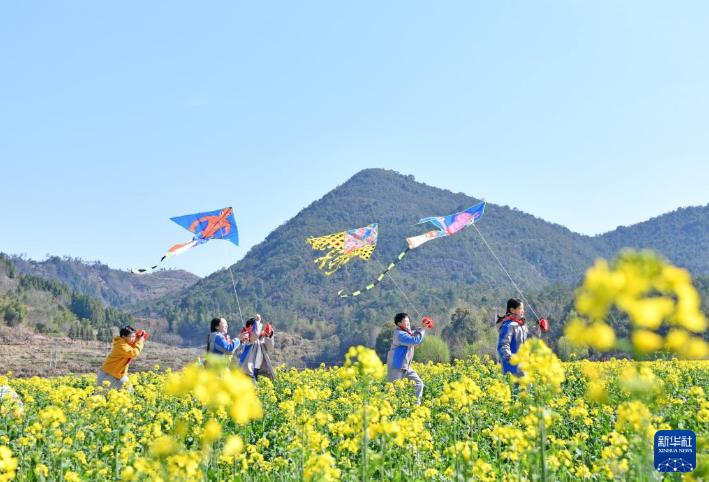 3月17日，浙江省台州市仙居县双庙乡中心小学学生在油菜花丛中放风筝。
各地春花陆续绽放，神州大地处处都是烂漫春景。
新华社发（王华斌 摄）