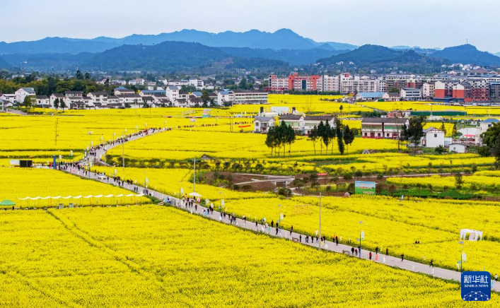 3月16日，游客在四川省广安市广安区花桥镇花桥村油菜花海中踏青赏花（无人机照片）。
各地春花陆续绽放，神州大地处处都是烂漫春景。
新华社发（张国盛 摄）