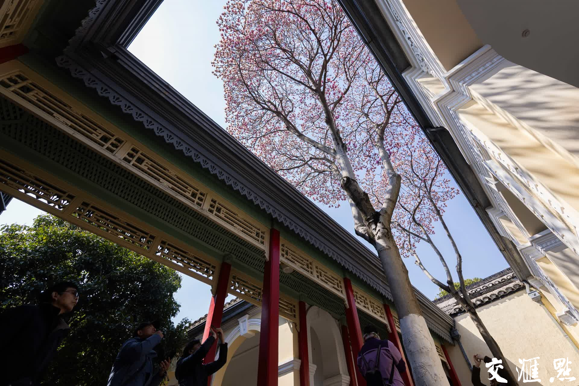 新华日报·交汇点记者 蒋文超/摄