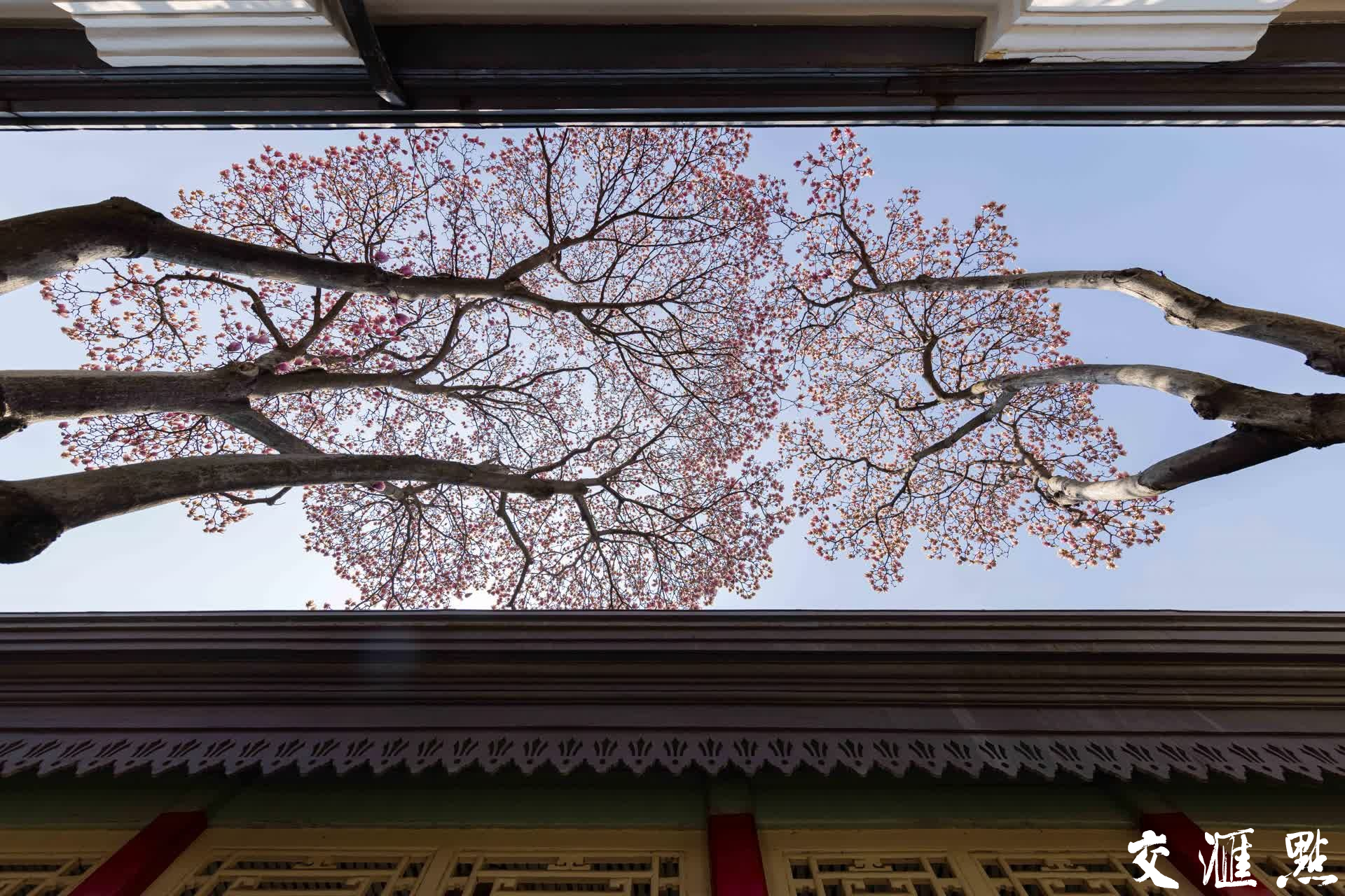 新华日报·交汇点记者 蒋文超/摄