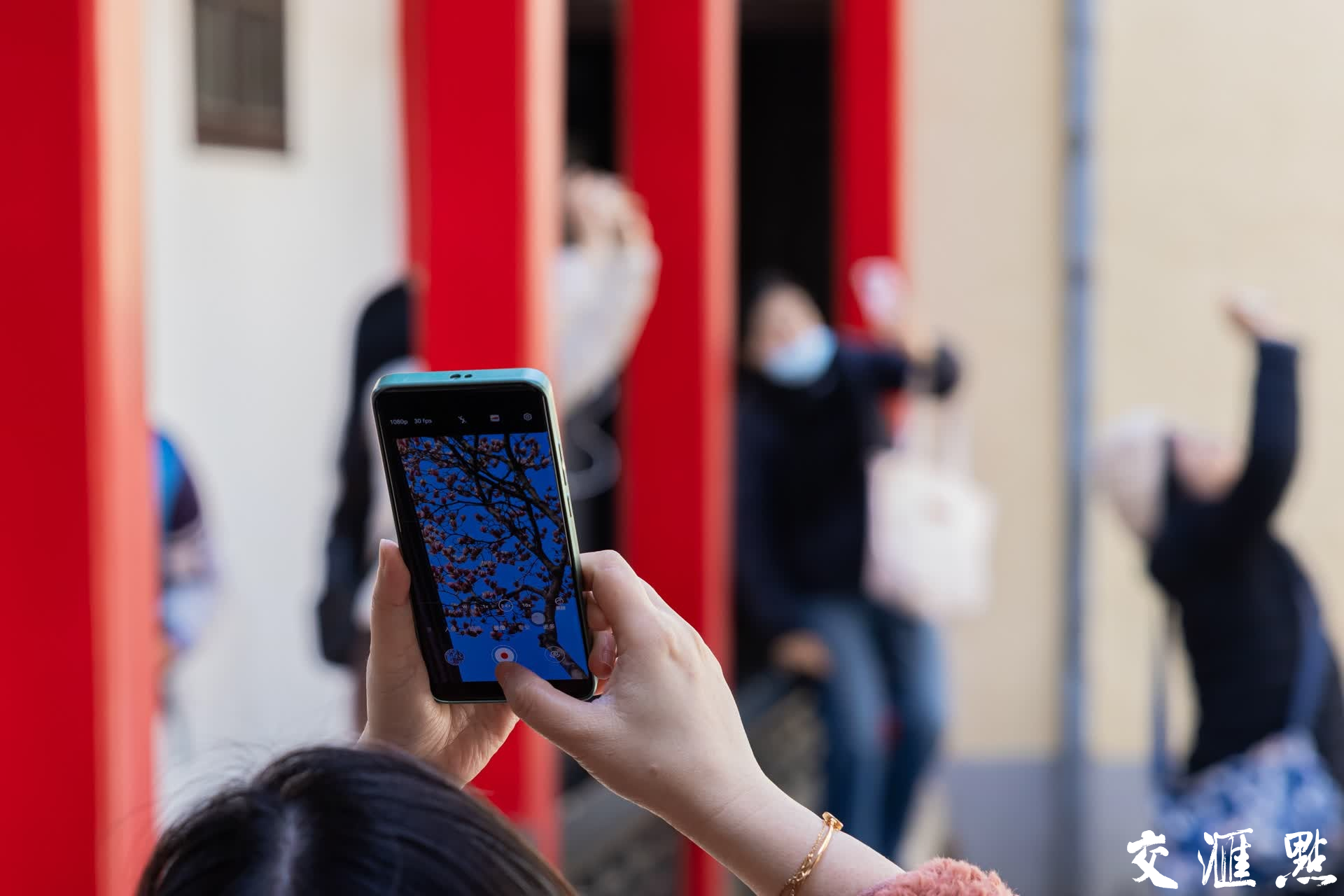 新华日报·交汇点记者 蒋文超/摄