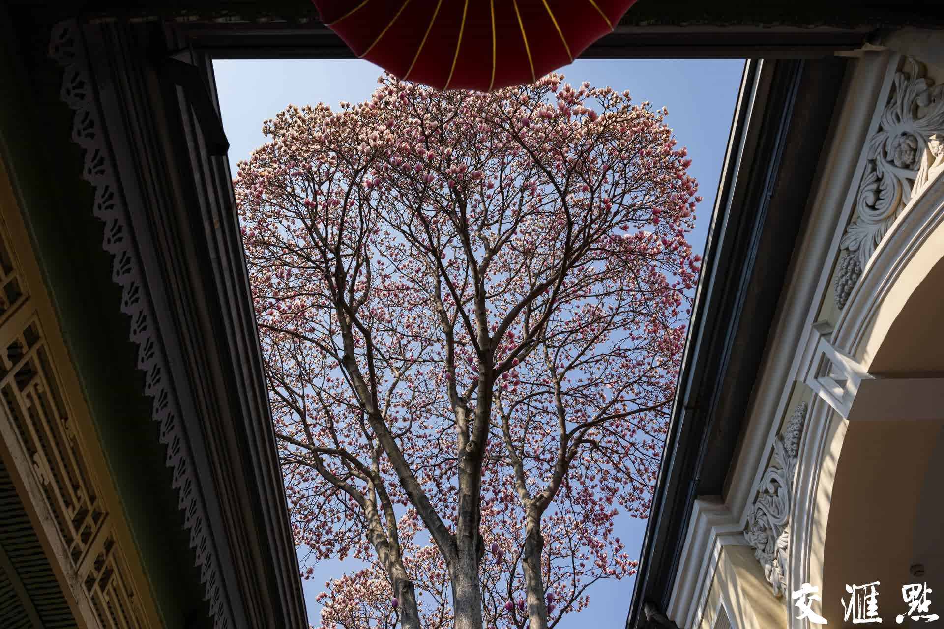 新华日报·交汇点记者 蒋文超/摄