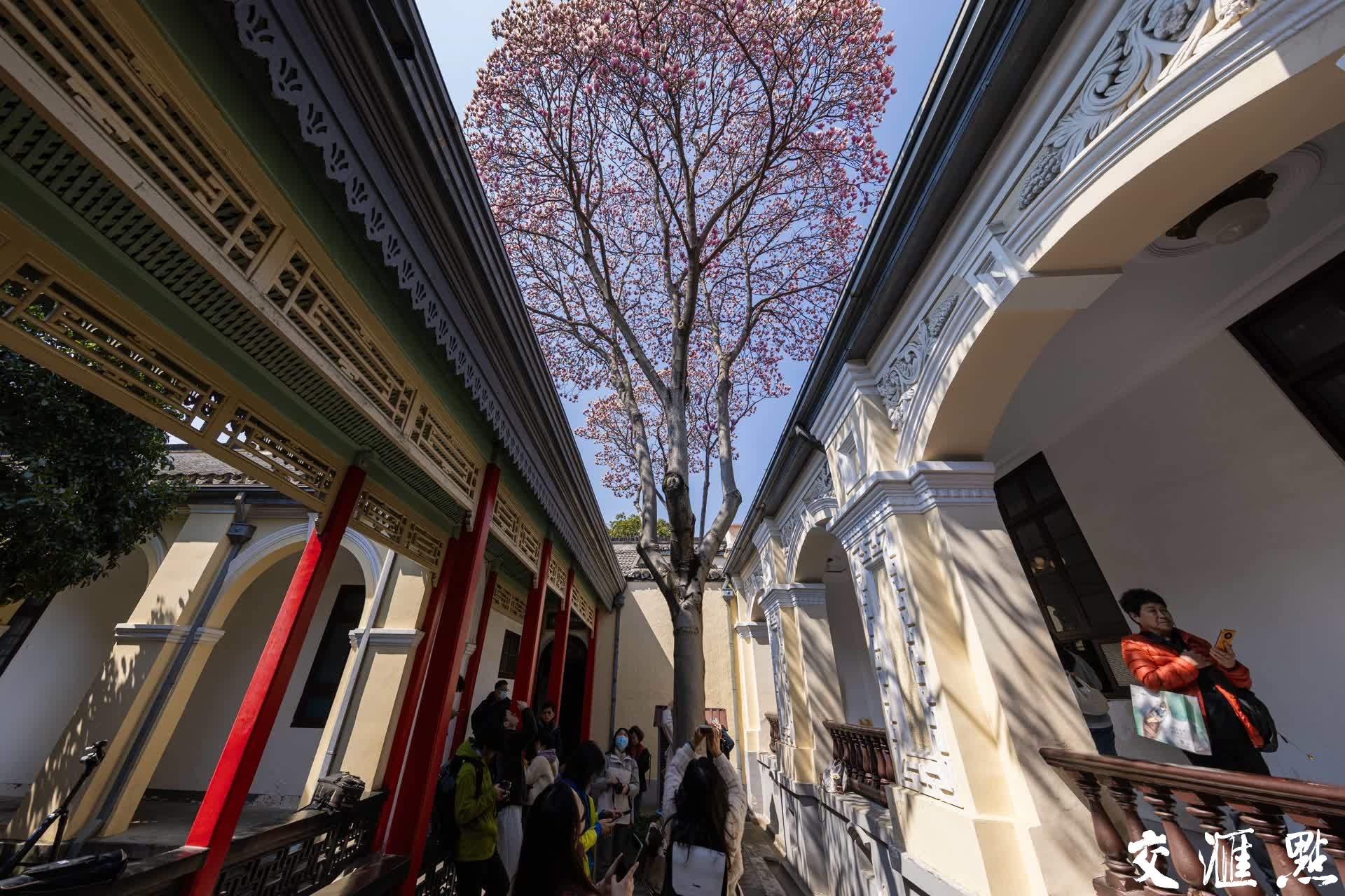 新华日报·交汇点记者 蒋文超/摄