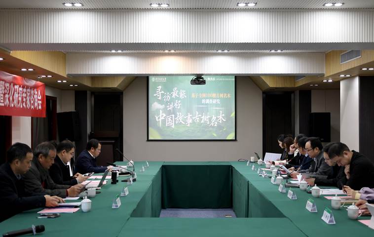 中景ppt