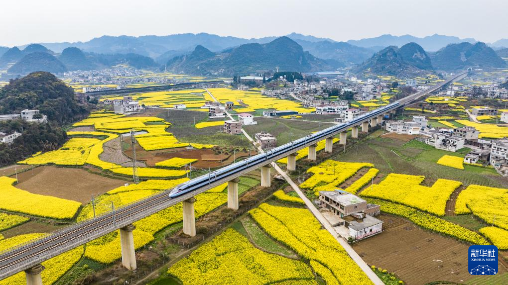 3月22日，列车在沪昆铁路黄桶至化处区间行驶（无人机照片）。
仲春时节，贵州省多地油菜花竞相绽放。一趟趟列车在油菜花海之中穿行，勾勒出黔贵大地朝气蓬勃的春日景象。
新华社记者 陶亮 摄