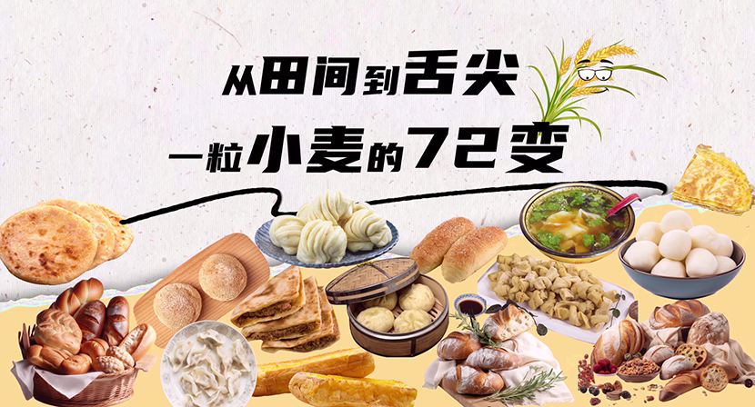 【大国粮策】从田间到舌尖，一粒小麦的“72变”