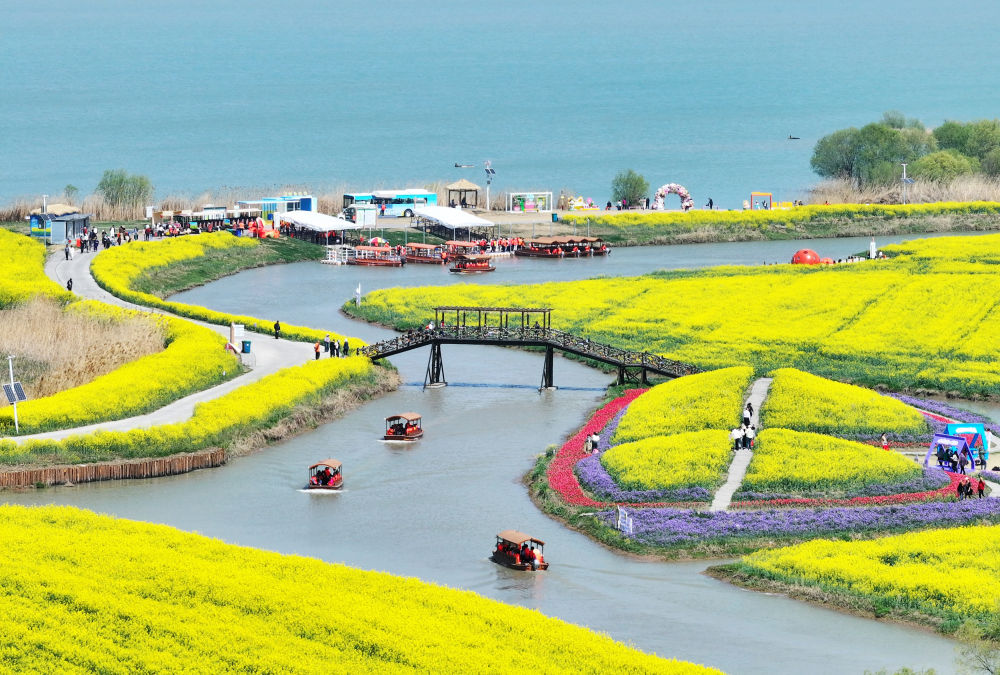 3月25日，游客在江苏省高邮市湖上花海景区赏花游玩（无人机照片）。新华社发（孟德龙摄）