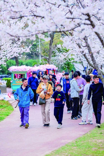 市民游客打卡美景。 栖宣供图