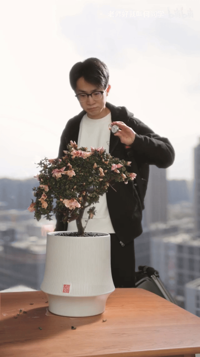 何同学2.gif 何同学2.gif