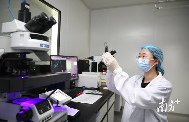 横琴粤澳深度合作区一企业实验室。关铭荣 摄