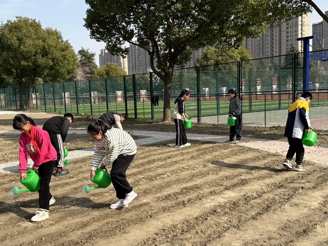 南通市竹行小学：稻浪千重传薪火 匠心一片照成长