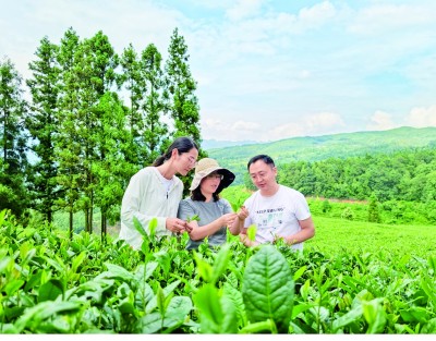 这就是青春最飒的英姿——“青马工程”学员与他们所钟爱的事业 这就是青春最飒的英姿——“青马工程”学员与他们所钟爱的事业