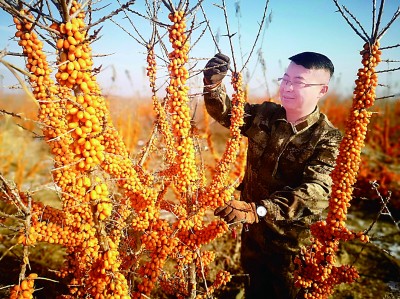 这就是青春最飒的英姿——“青马工程”学员与他们所钟爱的事业 这就是青春最飒的英姿——“青马工程”学员与他们所钟爱的事业
