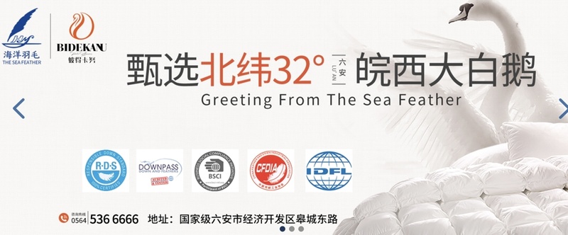 六安海洋羽毛有限公司官网截图。目前,企业已建立起从养殖、屠宰到成品生产一体化的生产体系