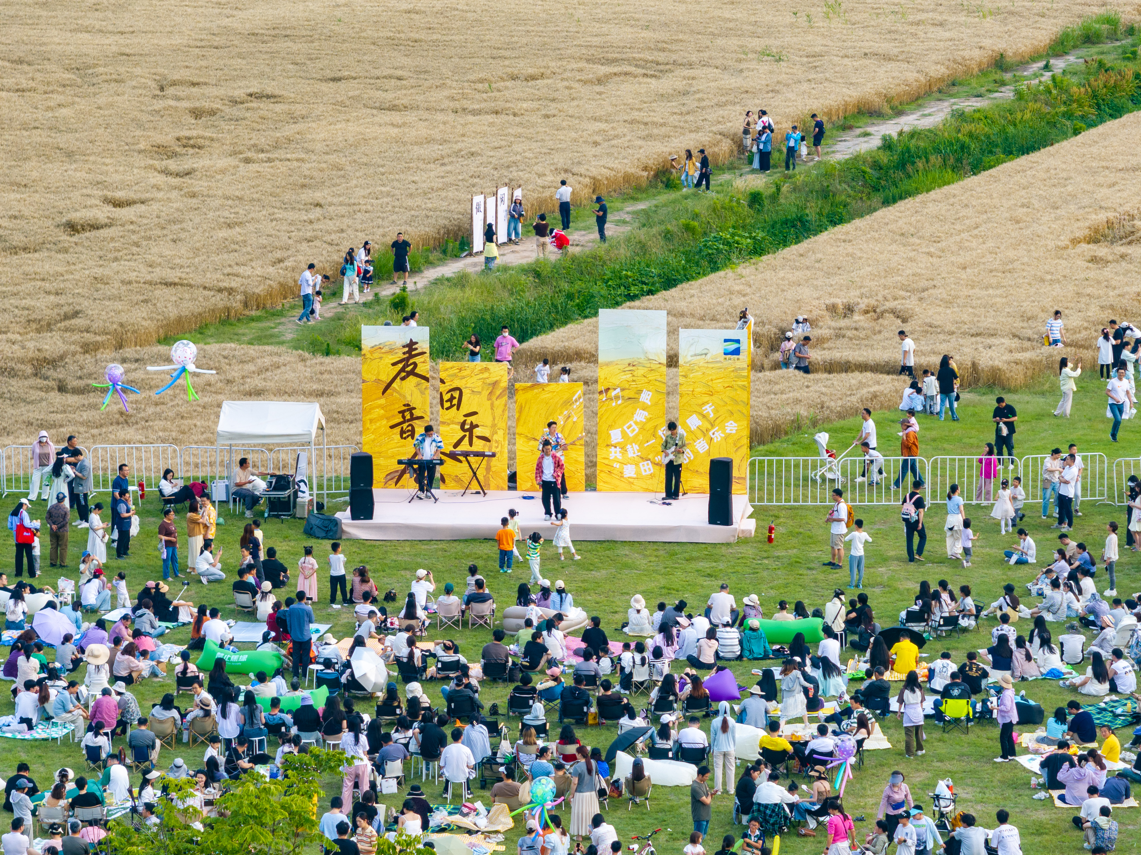 麦田音乐会现场
