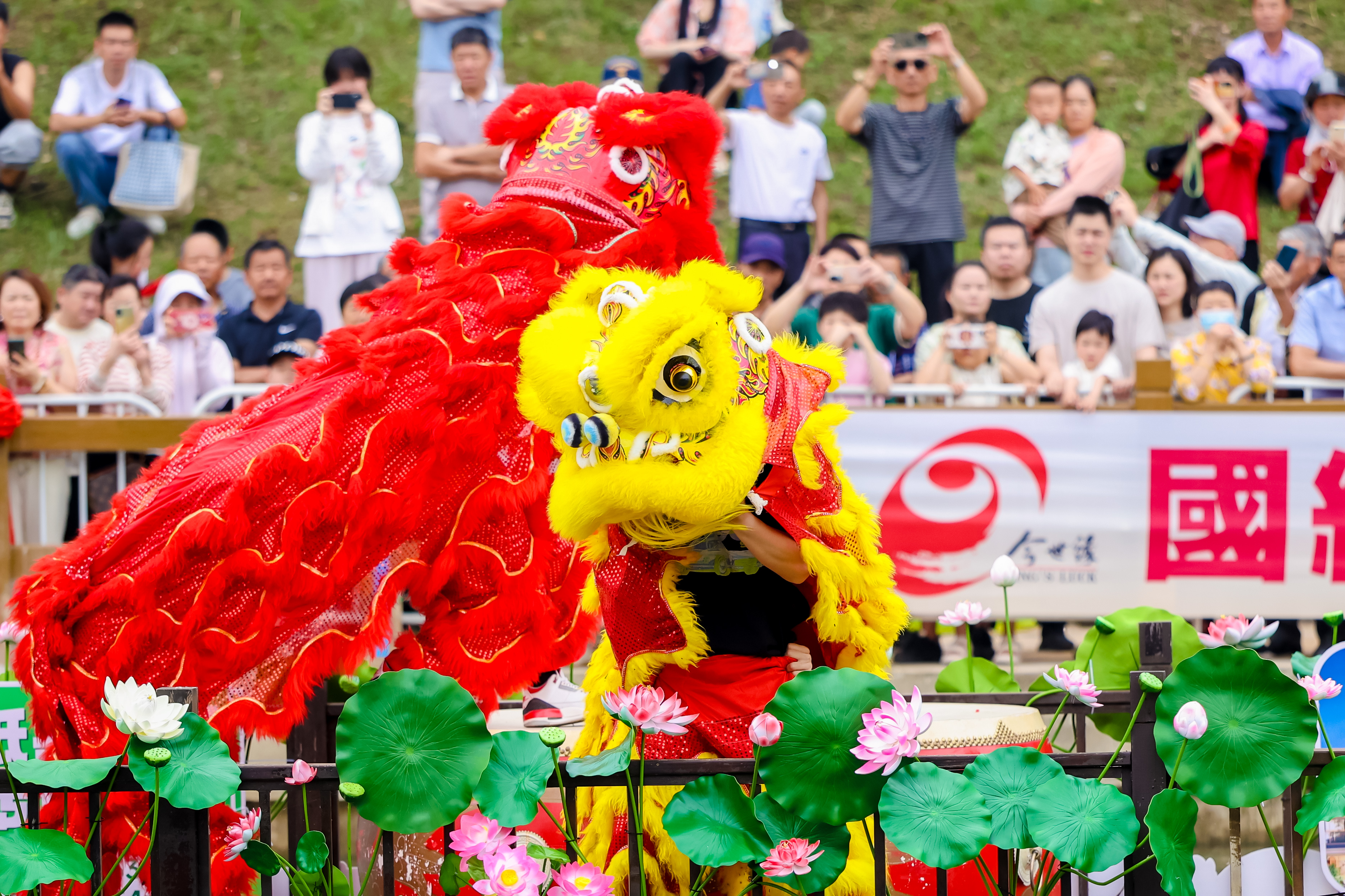 5月31日，南京溧水洪蓝龙舟竞渡大赛在胭脂河洪蓝集镇段激情开赛，24支队伍展开激烈角逐，为市民、游客献上一场精彩绝伦的水上竞技盛宴。龙舟不仅在水上“划”，更在消费场景当中“火”。从传统赛事到农文旅路线，龙舟文化正以更多样的方式融入南京生活，激活南京市场。