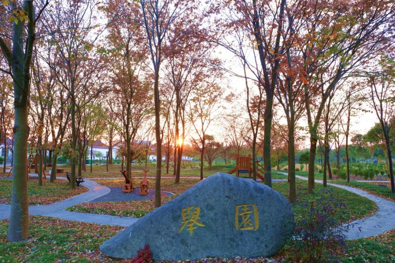 微信圖片_20250630094701