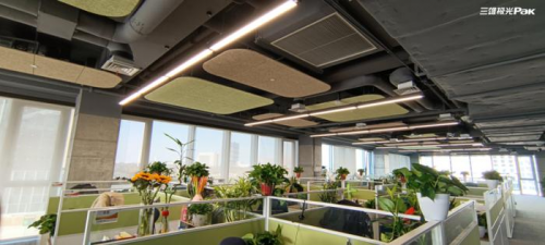 聚光谋远 深耕共赢 三雄极光以战略定力开辟智能健康照明新路径