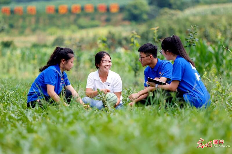 直播助农、健康义诊、扮靓街巷……青年学子暑期返乡服务桑梓 直播助农、健康义诊、扮靓街巷……青年学子暑期返乡服务桑梓